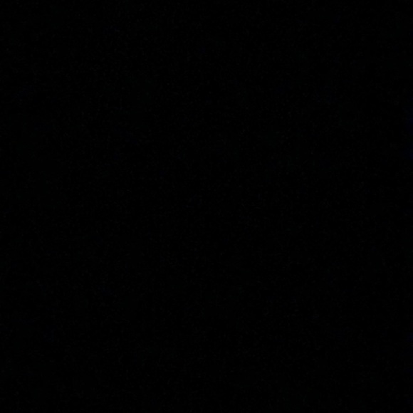 Meet your Posher, Reilly - Picture 1 of 1